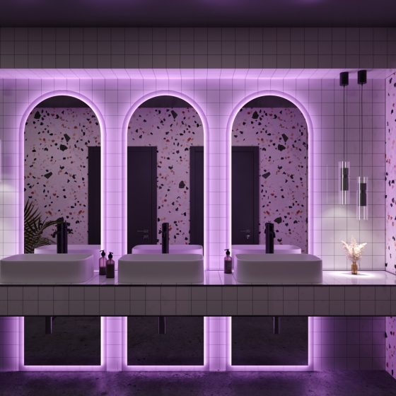 Светодиодная лента Standard RGB 5м 2