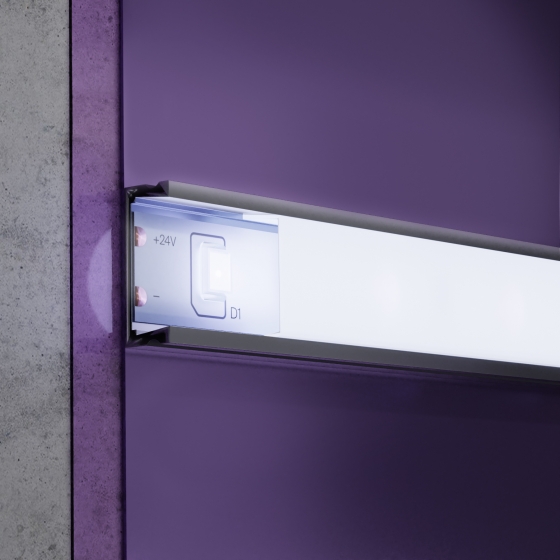 Светодиодная лента Standard белая 5000 мм 4