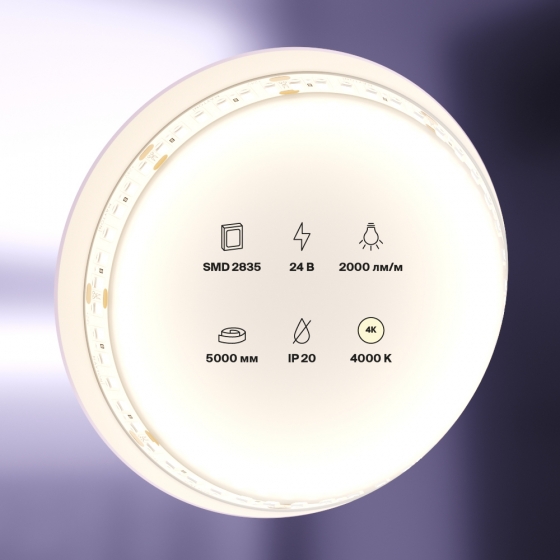 Светодиодная лента Standard белая 5000 мм 4