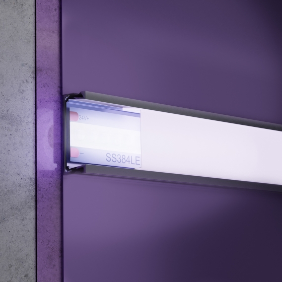 Светодиодная лента Standard белая 5000 мм 6