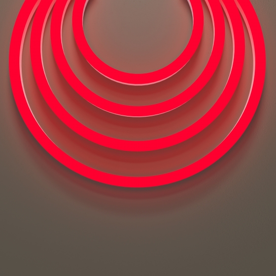 Гибкий неон 220В 25х13 см белый 4