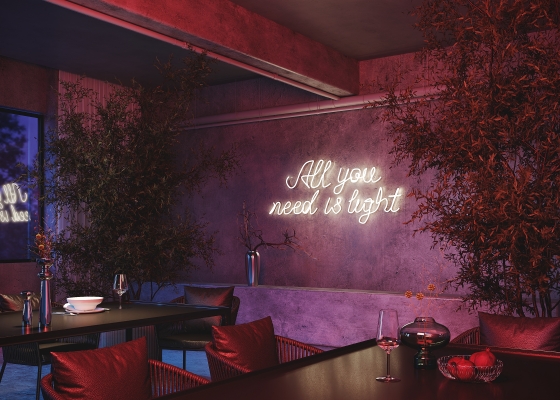 Гибкий неон Изгиб 3D белый 5 м 8