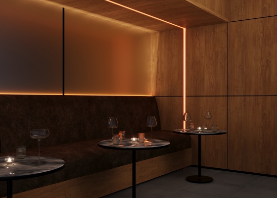 Алюминиевый профиль встраиваемый 46x25 мм Серебро 8