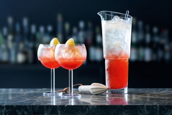 Коктейльный набор ice mixologist малый