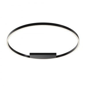 Потолочный светильник Maytoni MOD058CL-L65BK