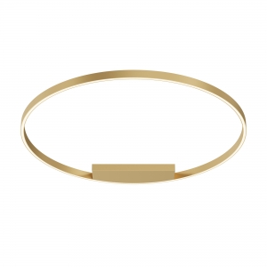 Потолочный светильник Rim латунь круглый 100 см