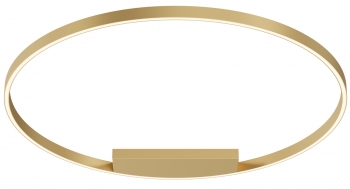 Потолочный светильник Rim 100X100X4 CM