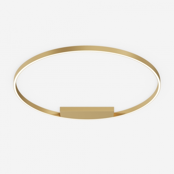 Потолочный светильник Rim латунь круглый 100 см 3