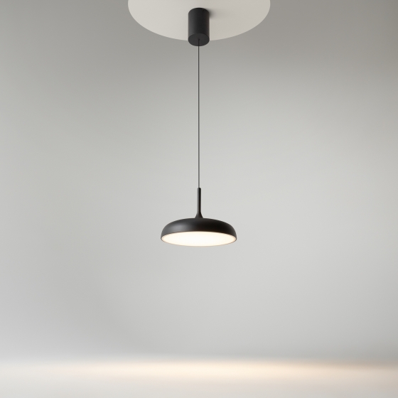 Подвесной светильник Gerhard черный 300 мм 11