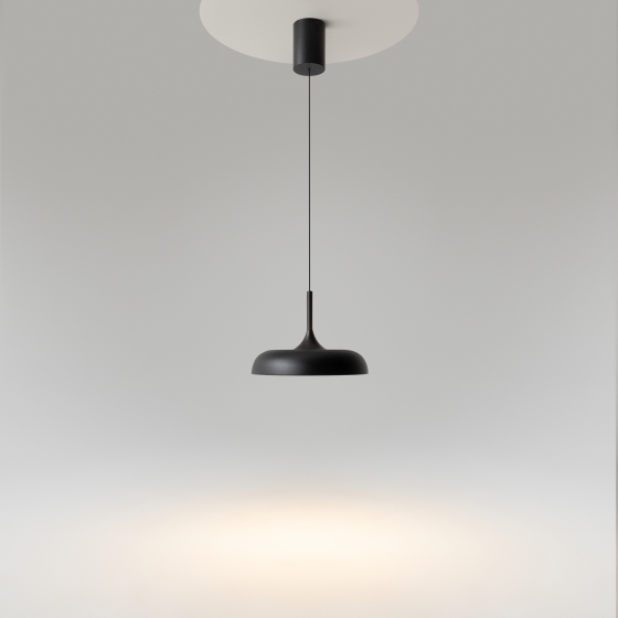 Подвесной светильник Gerhard черный 300 мм 14