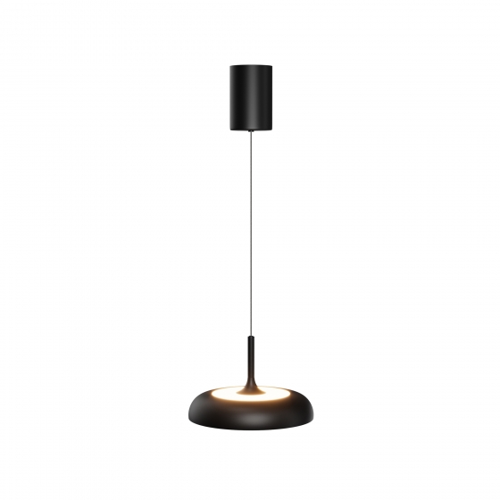 Подвесной светильник Gerhard черный 300 мм 1