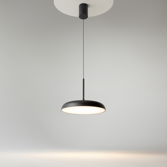 Подвесной светильник Gerhard черный 400 мм 11