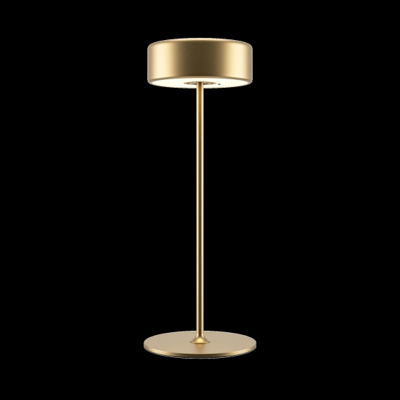 Настольный светильник AI Collaboration золотой 11