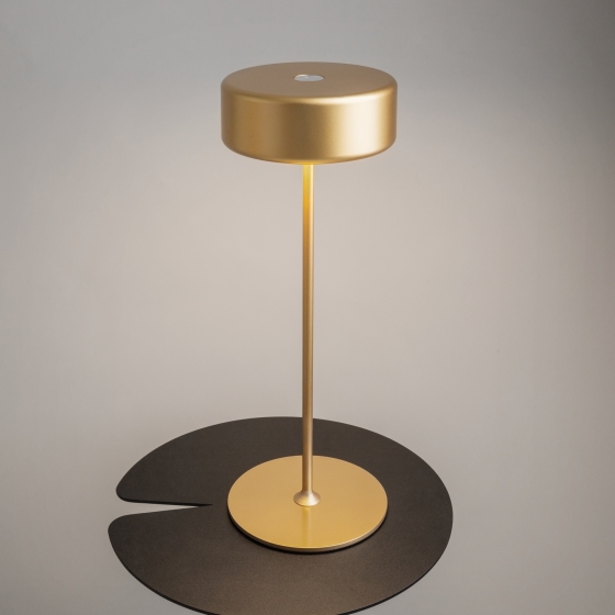 Настольный светильник AI Collaboration золотой 7
