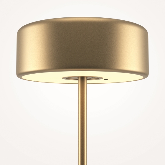 Настольный светильник AI Collaboration золотой 12