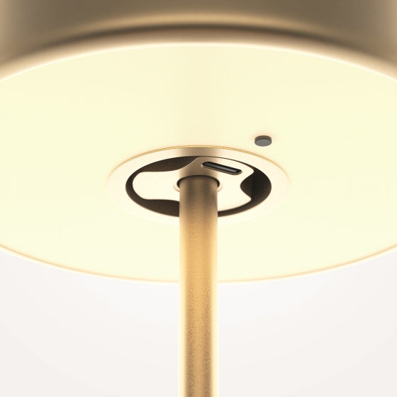 Настольный светильник AI Collaboration золотой 13