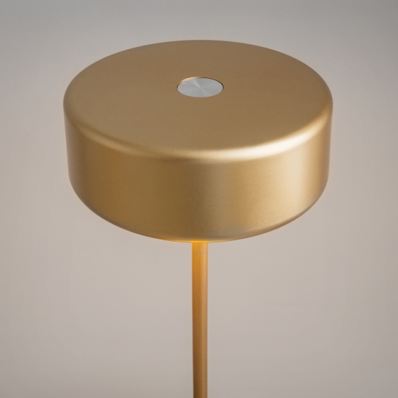 Настольный светильник AI Collaboration золотой 4