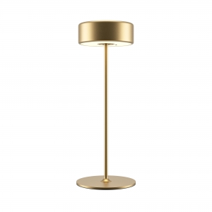 Настольный светильник AI Collaboration золотой