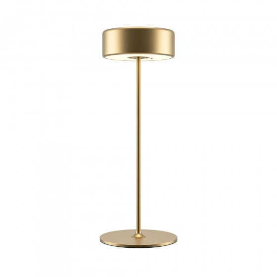 Настольный светильник AI Collaboration золотой 1