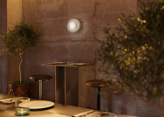 Настенный светильник Lulua белый, стекло, алюминий 8