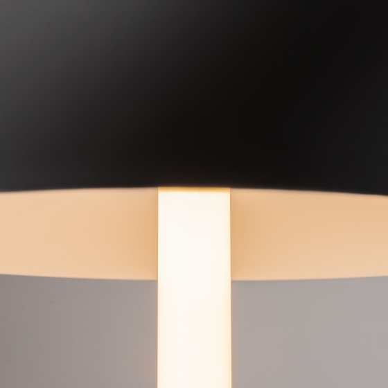 Настольный светильник Ray черный 5