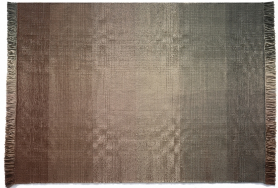 Ковёр из полиэфирного волокна Shade Palette 240X170 CM brown 1