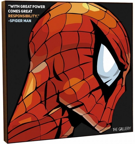 Постер Spider Man 25X25 CM 1