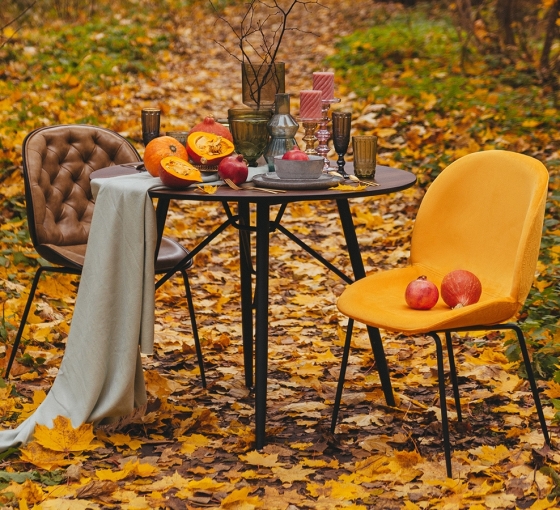 Стул Beetle 47X56X88 CM 6