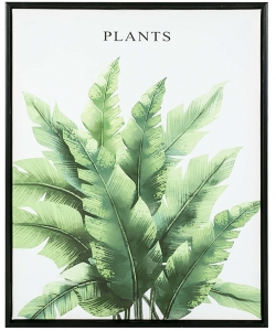 Постер Plant 40X50 CM