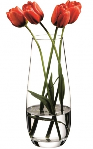 Ваза для цветов Botanica 11X11X26 CM