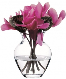 Ваза для цветов Botanica 8X8X14 CM