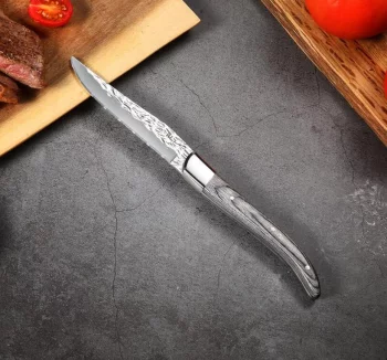 Нож для стейка Garwin 22 CM