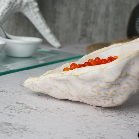 Блюдо для подачи Frutti di Mare 12X8X4 CM Gray Shell 4