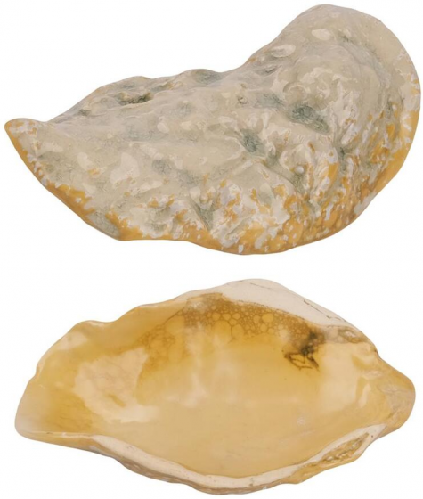 Блюдо для подачи Frutti di Mare 20X8 CM 1