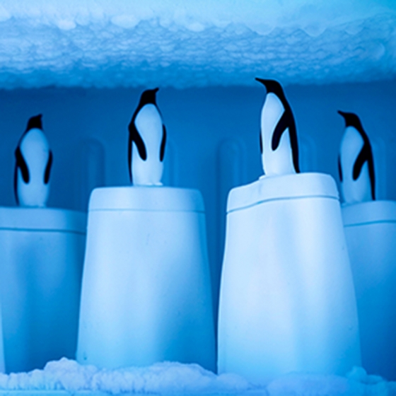 Форма для эскимо penguin on ice 4