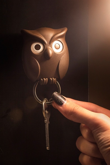Держатель для ключей night owl коричневый 4