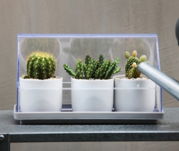 Лоток для выращивания растений Micro green house 24X11X14 CM