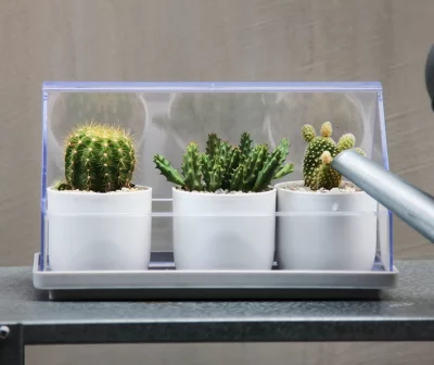 Лоток для выращивания растений Micro green house 24X11X14 CM 3