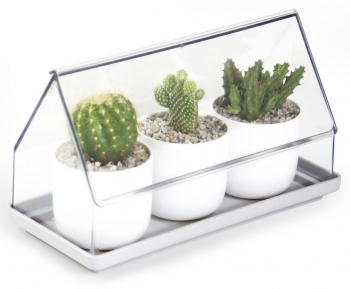 Лоток для выращивания растений Micro green house 24X11X14 CM