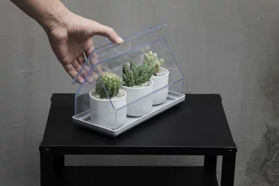Лоток для выращивания растений Micro green house 24X11X14 CM 6