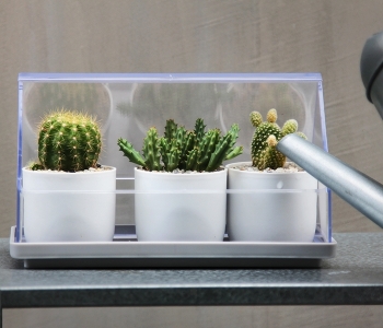 Лоток для выращивания растений Micro Green House 21X11X14 CM