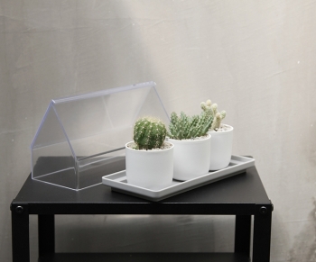 Лоток для выращивания растений Micro Green House 21X11X14 CM