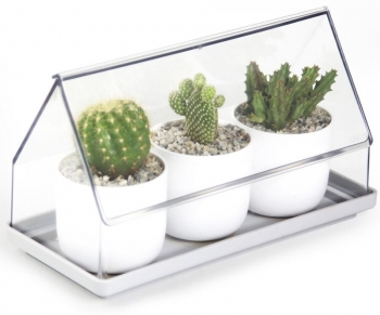 Лоток для выращивания растений Micro Green House 21X11X14 CM