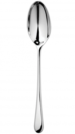 Ложка столовая Iona Bright 20 CM 1