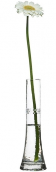 Ваза Blomma 5X5X24 CM