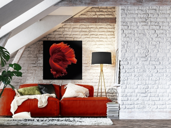 Постер на стекле Rojo Siam 100X100 CM