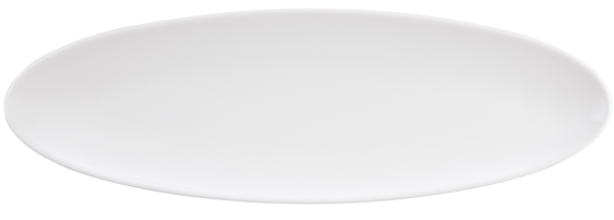 Фарфоровое овальное блюдо Fine Dining 35X12 CM 1