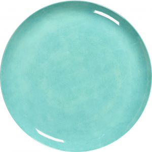 Обеденная тарелка Feast Ø27 CM