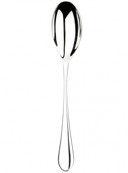 Ложка столовая Santol 21 CM 1