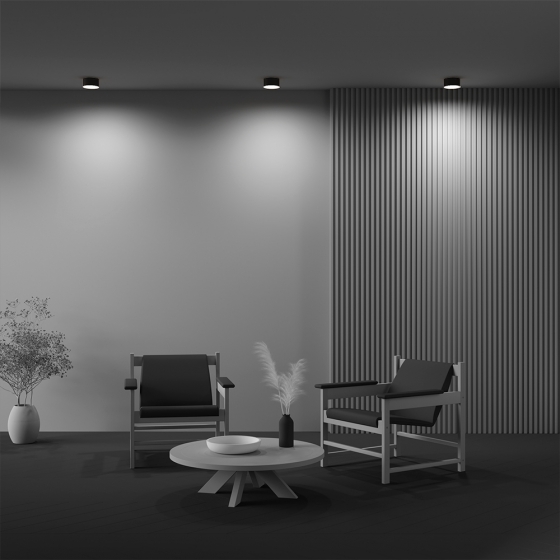 Потолочный светильник Zon черный 120 мм 6